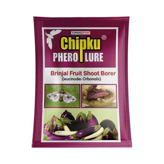 Chipku - Brinjal Fruit Shoot Borer (Leucinodes Orbonalis) Lure | Buy Now