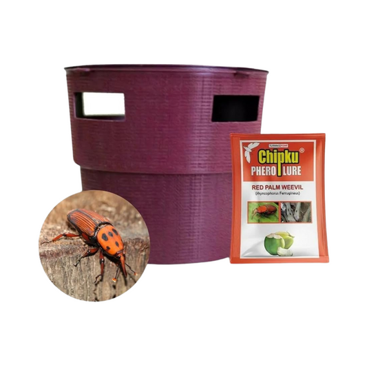 Chipku - Bucket Trap with Red Palm Weevil Lure | Buy Online Now