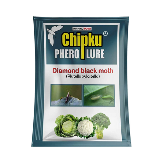 Chipku - Diamond Black Moth (Plutella Xylostella) Lure | Buy Online Now