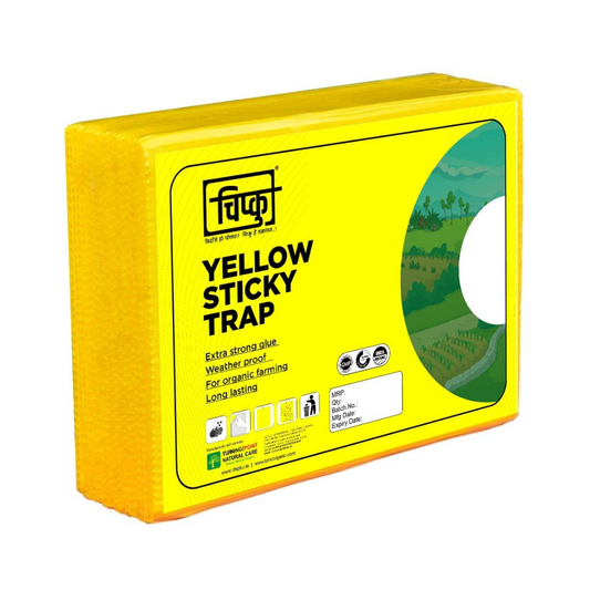 Chipku - Yellow Sticky Trap Size A5 | Buy Online at Best Price Now