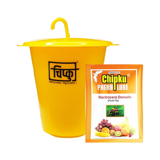 Chipku Pheromone ECOMAX Trap for Fruit Fly On Fruit Plants (Bactocera dorsalis) (Outdoor use)