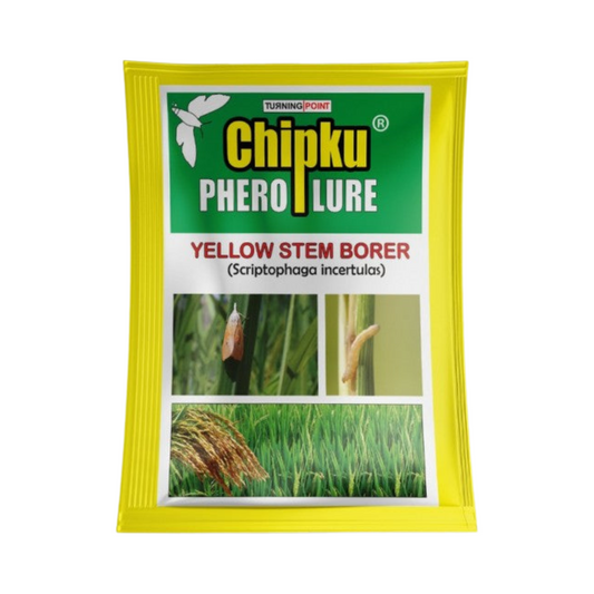 Chipku - Yellow Stem Borer (Scriptophaga Incertulas) Lure | Buy Online