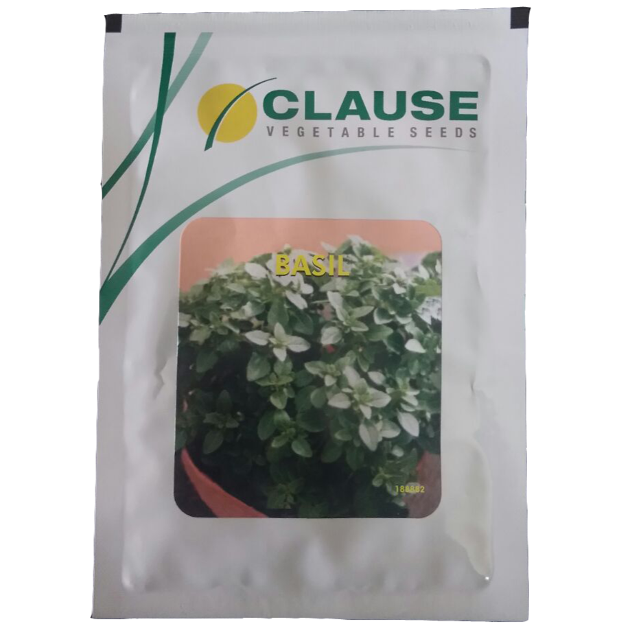 Clause Basil Seeds | Buy Online At Best Price