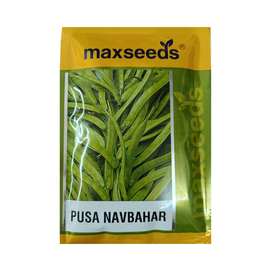 Pusa Navbahar Cluster Beans Seeds - Max | Buy Online at Best Price