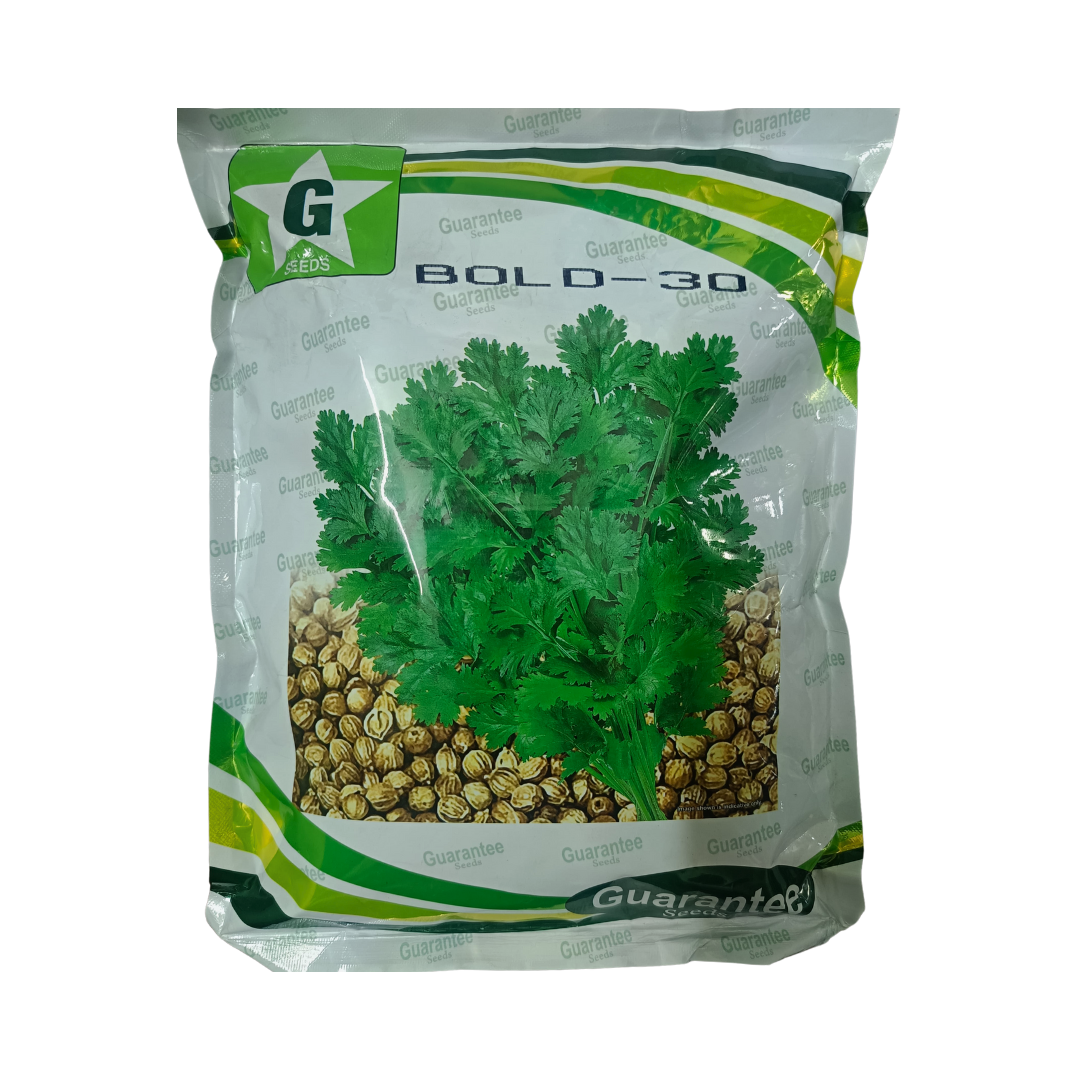 Bold-30 Coriander Seeds - Guarantee Seeds | Buy Online at Best Price