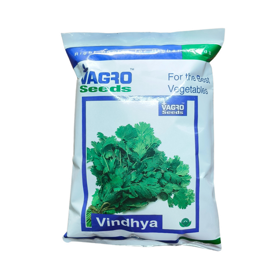 Vindhya Coriander Seeds