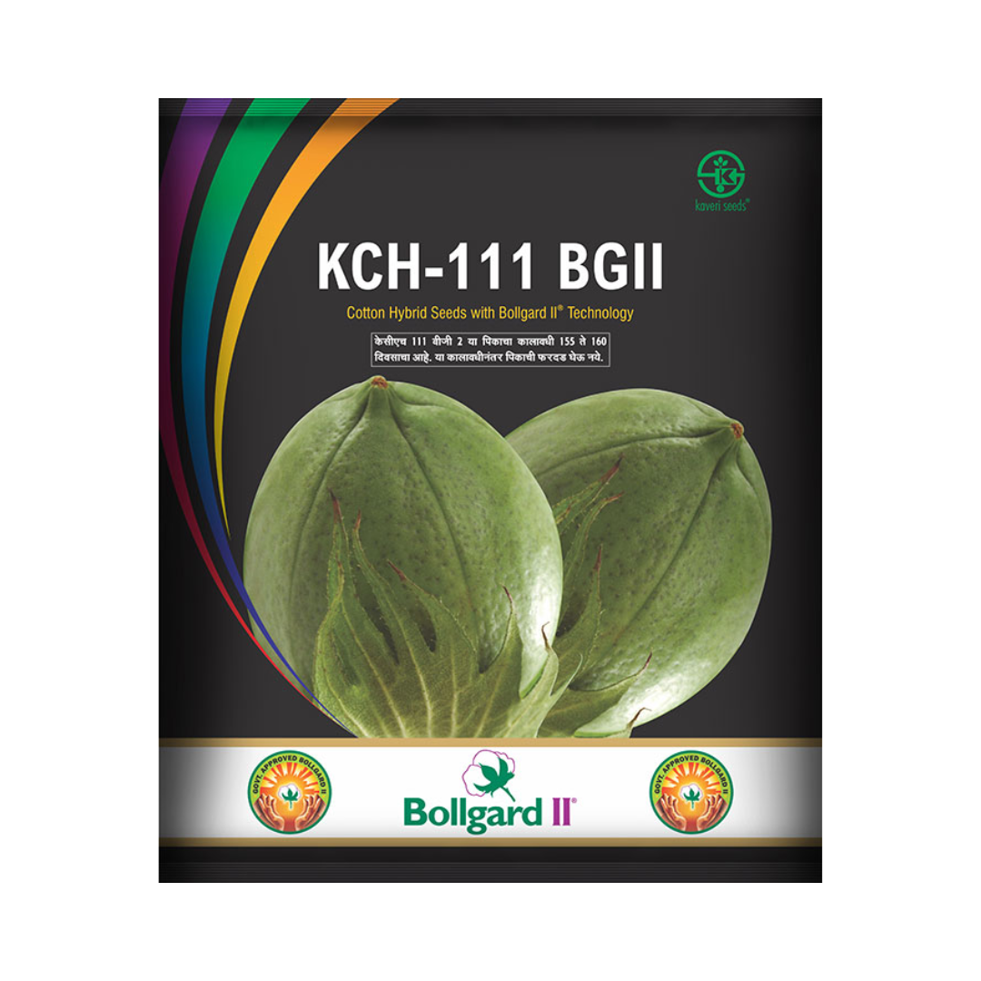 KCH 111 BG II Cotton Seeds - Kaveri | F1 Hybrid | Buy Online Now