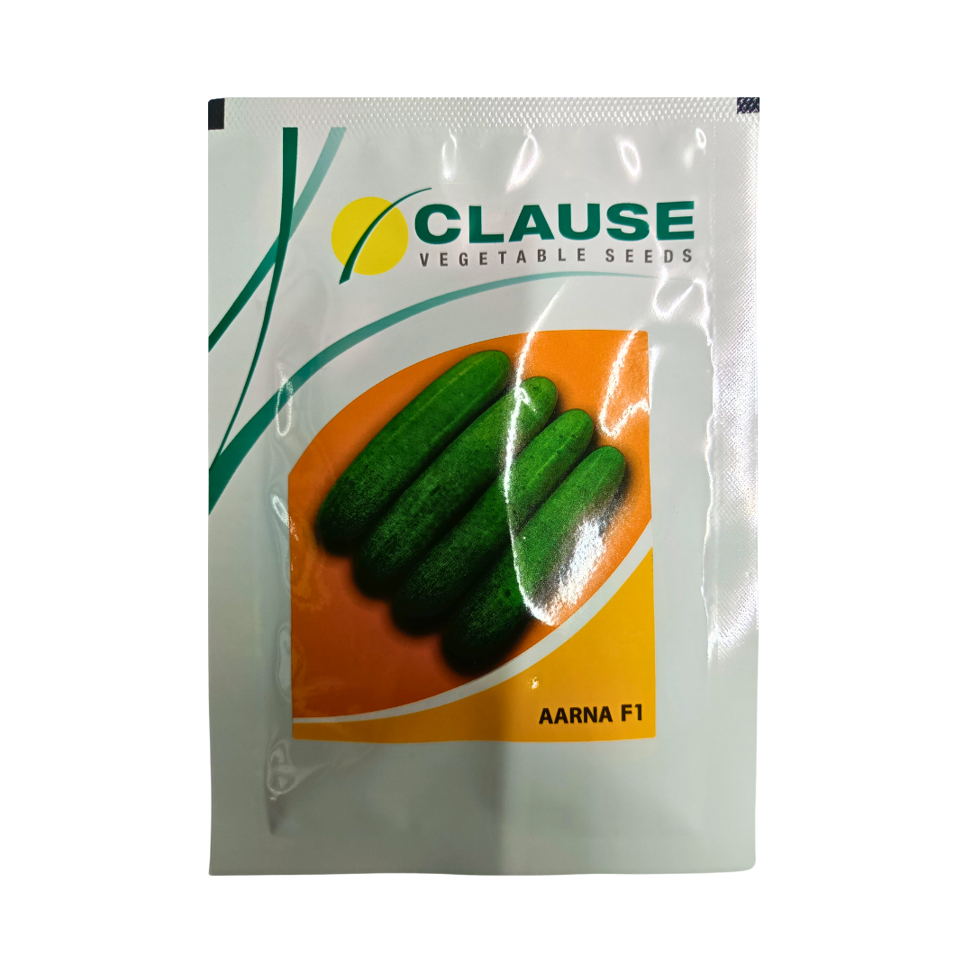 Aarna Cucumber Seeds - HM Clause | F1 Hybrid | Buy Online Now