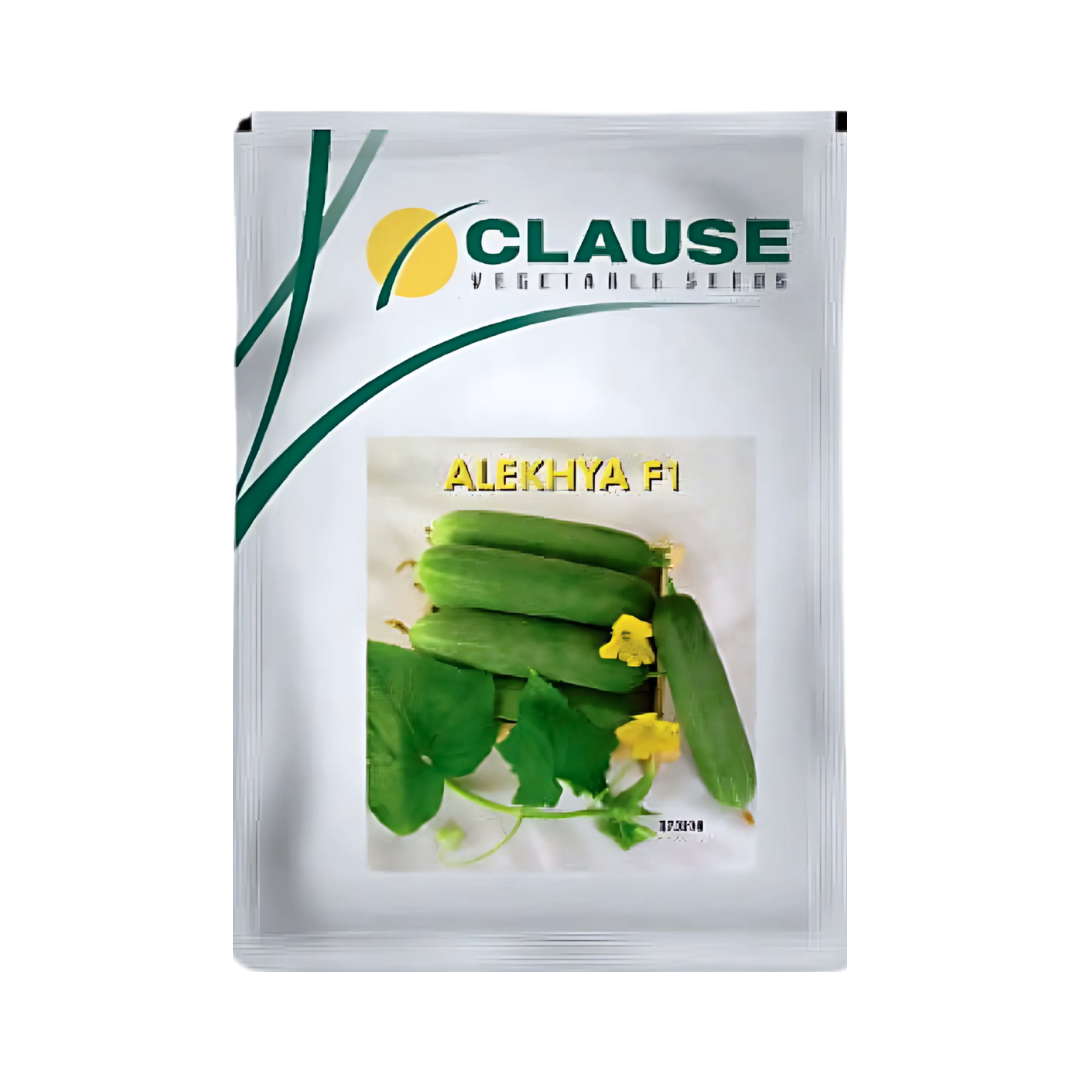 Alekhya Cucumber Seeds - HM Clause| F1 Hybrid | Buy Online - DesiKheti