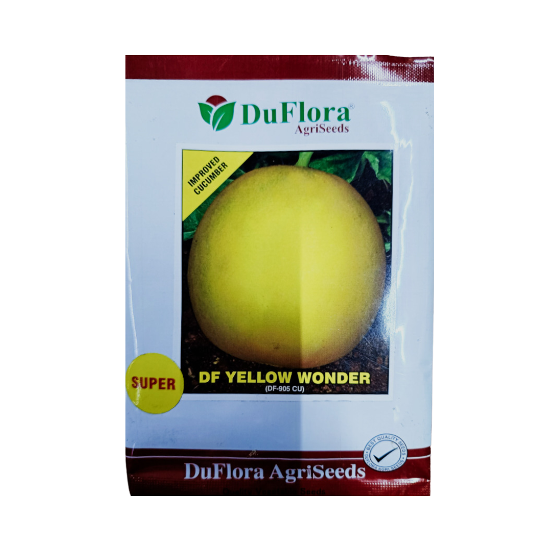 DF Yellow Wonder Cucumber Seeds - Duflora | F1 Hybrid | Buy Online