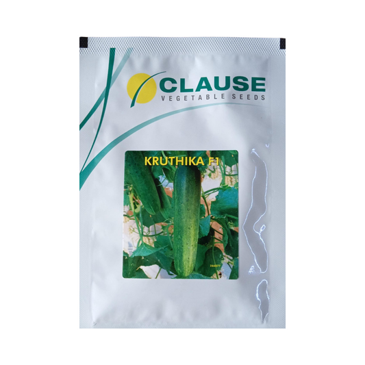 Kruthika Cucumber Seeds - HM Clause | F1 Hybrid | Buy Online Now