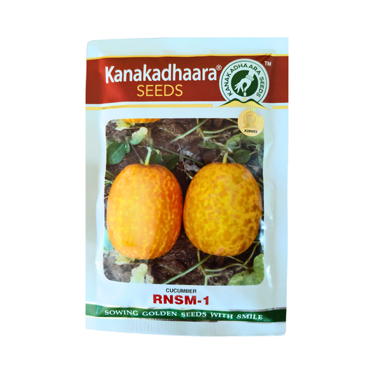 RNSM-1 Cucumber Seeds - Kanakadhaara Seeds | Buy Online at Best Price