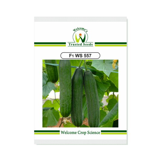 WS 557 Cucumber Seeds - Welcome | Buy Online at Best Price