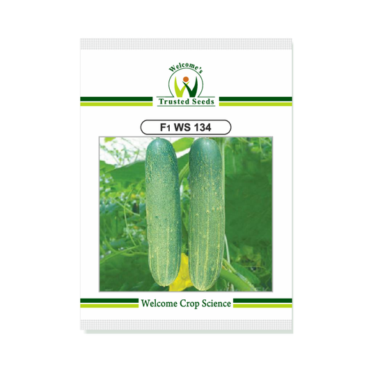 WS 134 Cucumber Seeds - Welcome | Buy Online at Best Price