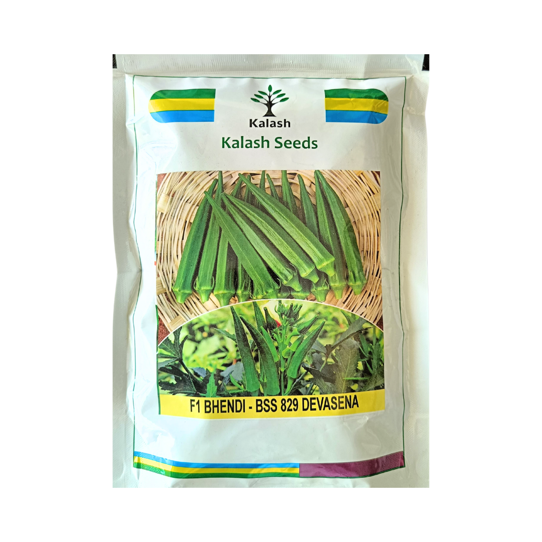 BSS 829 Devasena Bhindi Seeds - Kalash | F1 Hybrid | Buy Online Now