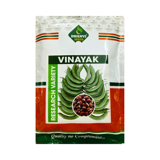 Vinayak Dolichos Seeds - Dhanvi Seeds | Buy Online at Best Price Now