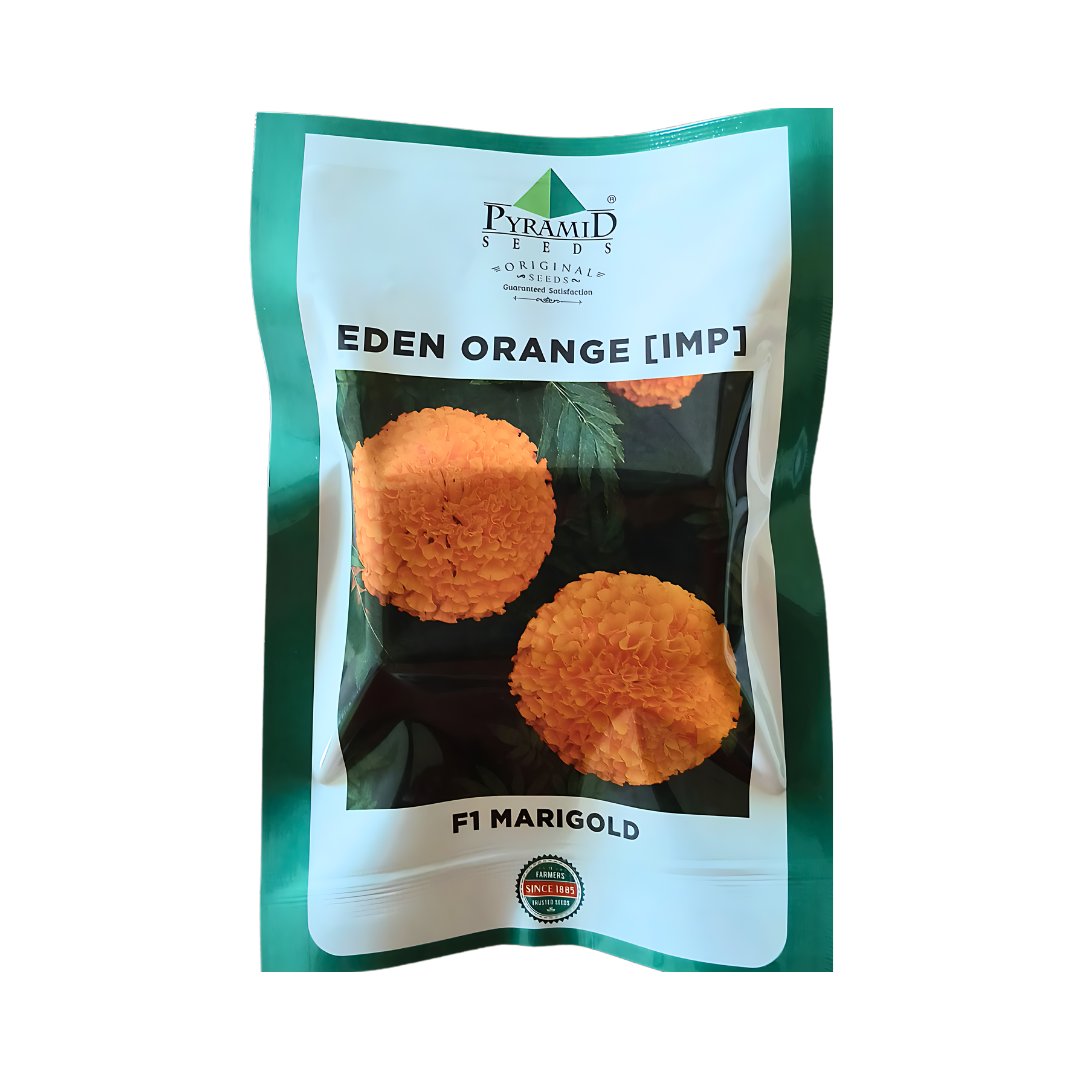 Eden Orange [IMP] Marigold Seeds - Pyramid Seeds | Buy Online Now