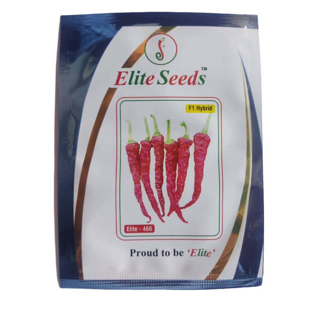 Elite - 466 Chilli Seeds | F1 Hybrid Mirchi | Buy Online at Best Price