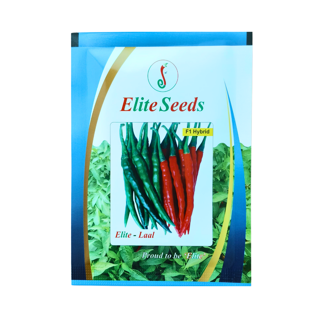 Elite - Laal Chilli Seeds | F1 Hybrid Mirchi | Buy Online - DesiKheti