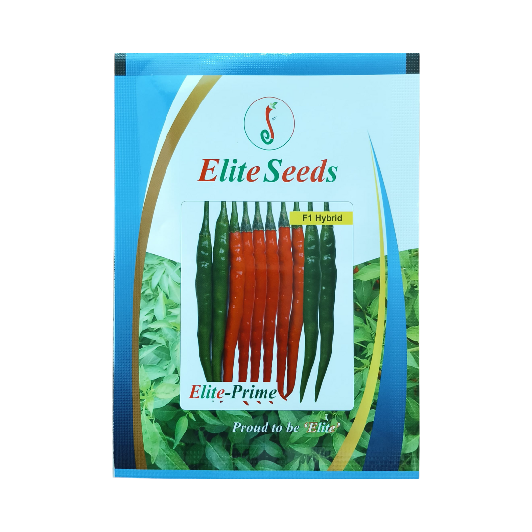 Elite - Prime Chilli Seeds | F1 Hybrid Mirchi | Buy Online Now