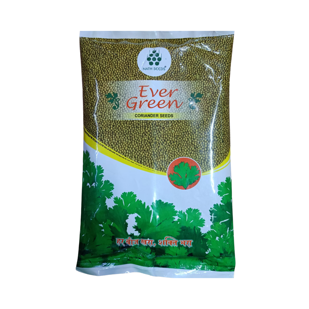 Ever Green Coriander Seeds - Nath | F1 Hybrid | Buy Online Now