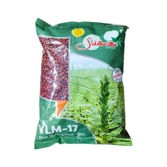 YLM-17 Gingelly (Sesamum) Seeds - Siddhartha Seeds | Buy Online Now