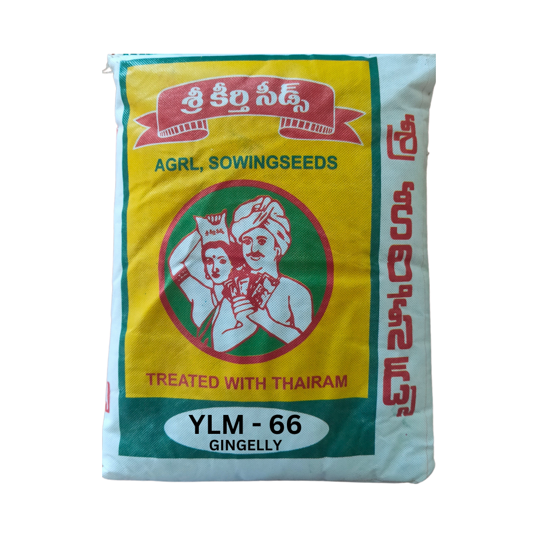 YLM-66 Gingelly (Sesamum) Seeds - Sri Keerthi Seeds | Buy Online Now