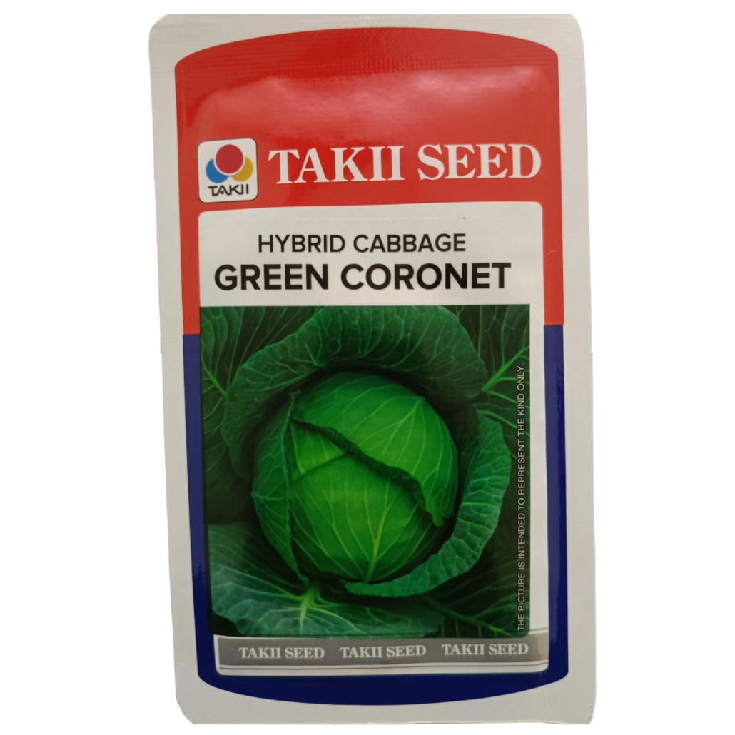 Green Coronet Cabbage Seeds - Takii | F1 Hybrid | Buy Online Now