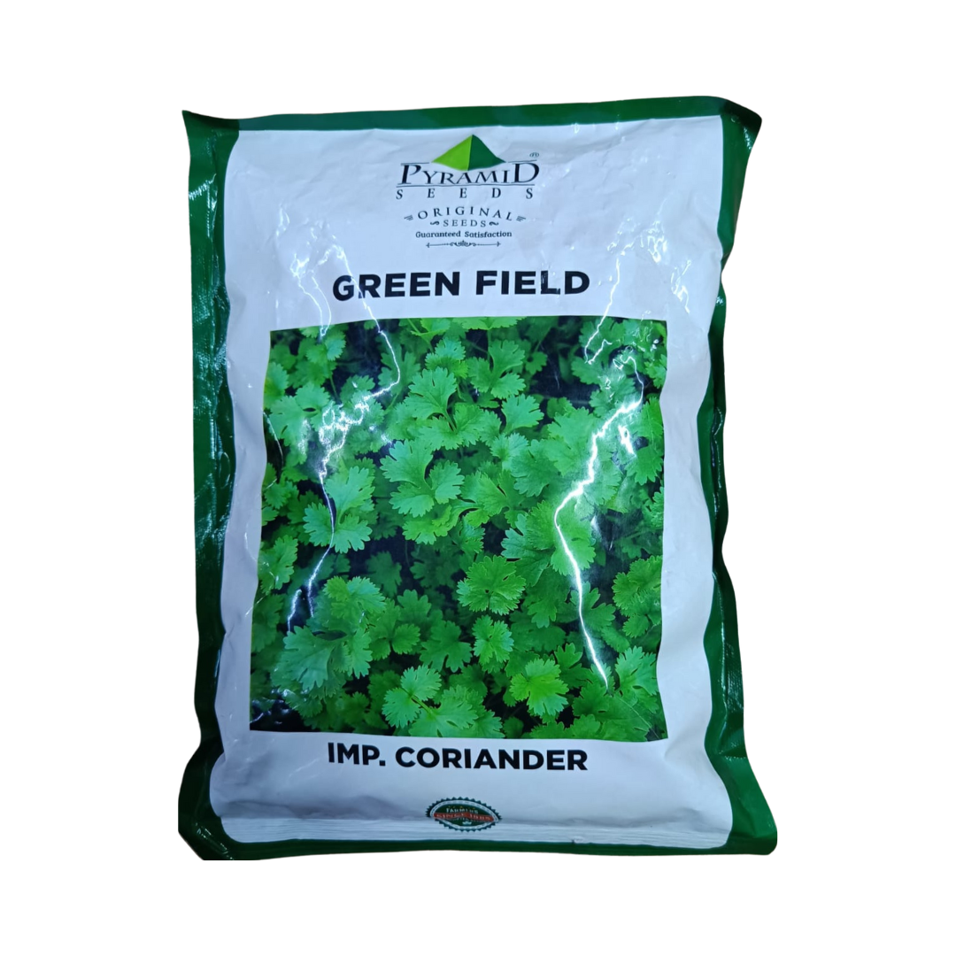 Green Field Coriander Seeds - Pyramid | F1 Hybrid | Buy Online Now