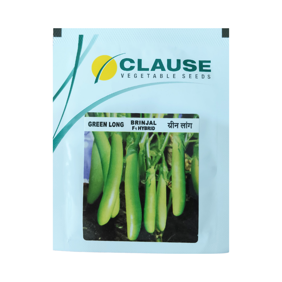 Green Long Brinjal Seeds - HM Clause | F1 Hybrid | Buy Online Now