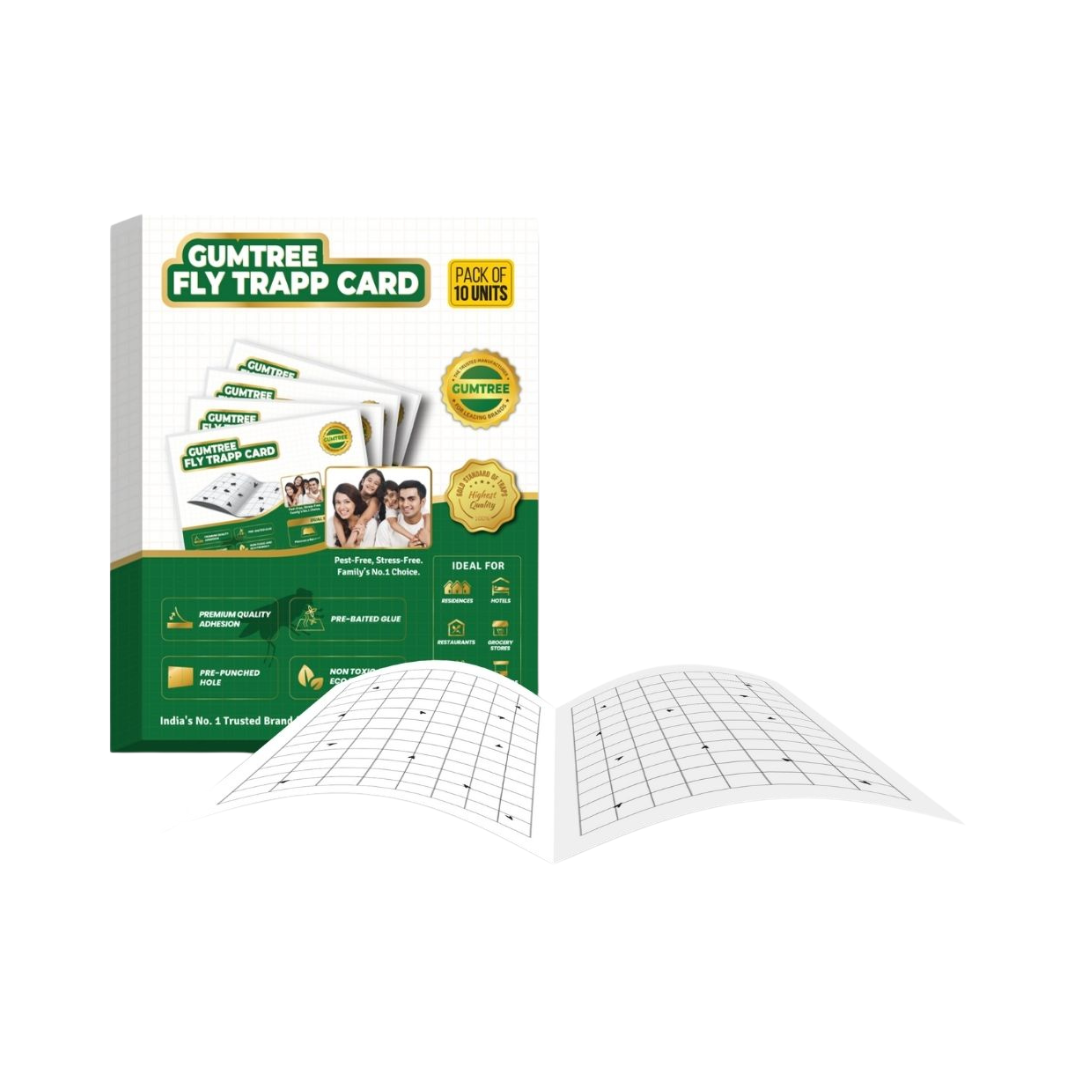 Gumtree Fly Trapp Card (Pack of 10) | Buy Online at Best Price