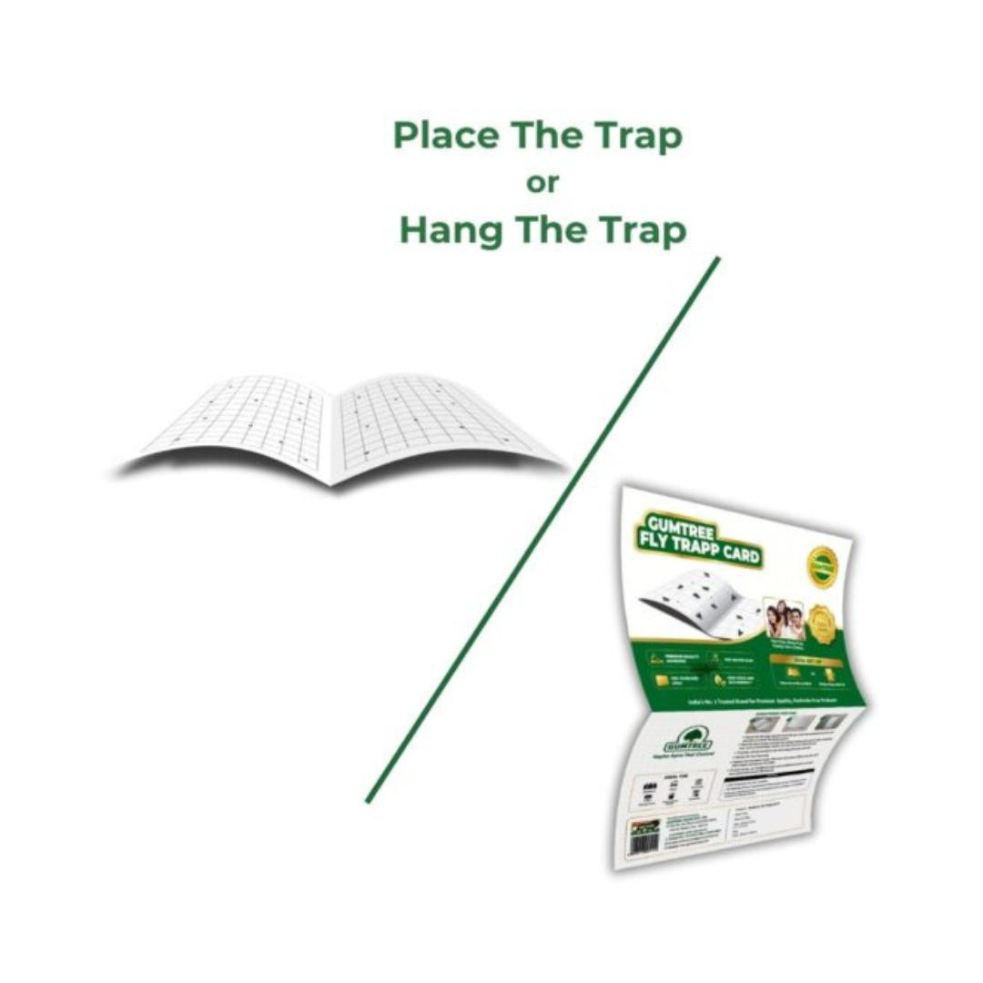 Gumtree Fly Trapp Card (Pack of 10) | Buy Online at Best Price