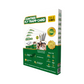 Gumtree Fly Trapp Card (Pack of 10) | Buy Online at Best Price