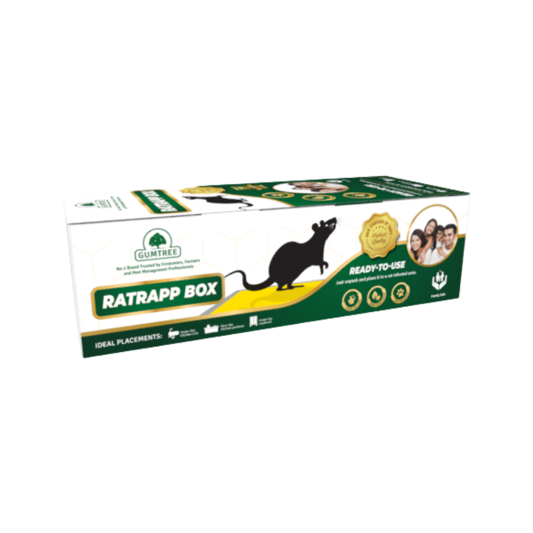  Gumtree Ratrapp Box (Rat Glue Trap) | Buy Online at Best Price Now