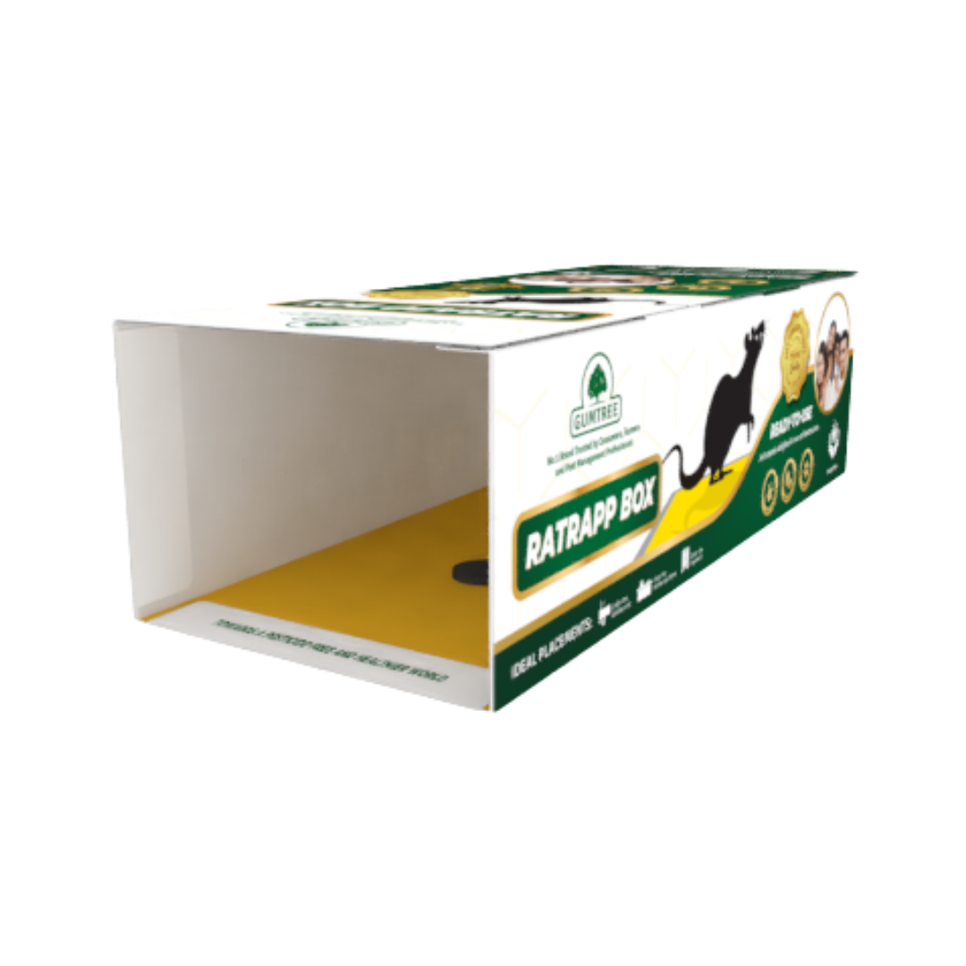  Gumtree Ratrapp Box (Rat Glue Trap) | Buy Online at Best Price Now