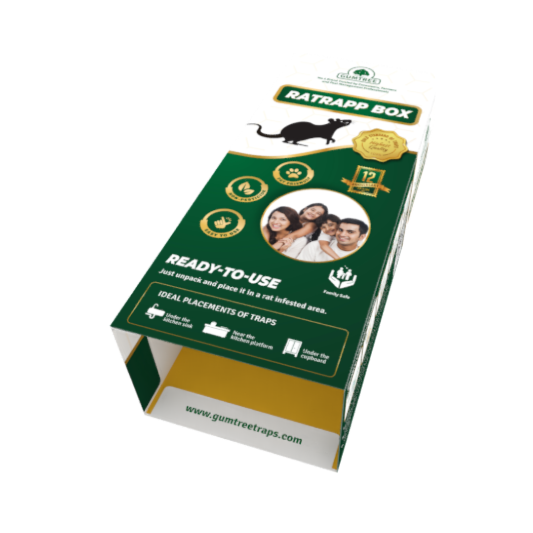  Gumtree Ratrapp Box (Rat Glue Trap) | Buy Online at Best Price Now