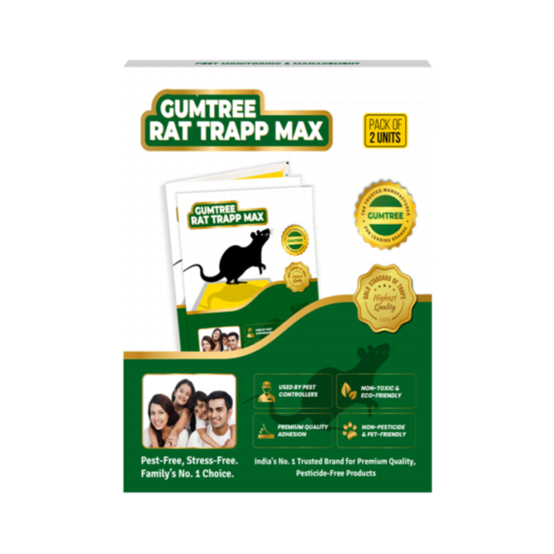  Gumtree RatTrapp Max ( Pack of 2) | Buy Online at Best Price Now