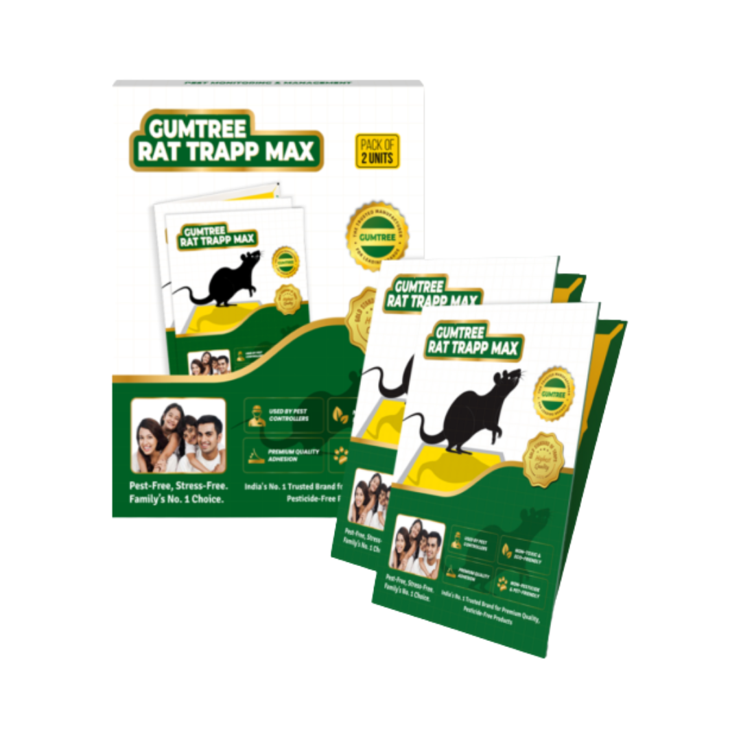  Gumtree RatTrapp Max ( Pack of 2) | Buy Online at Best Price Now