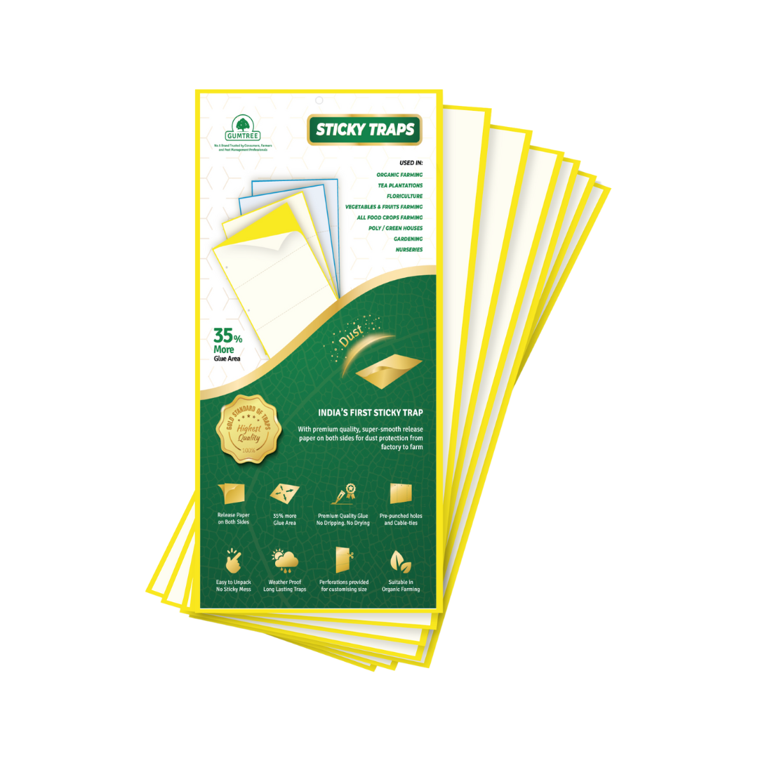 Gumtree Sticky Traps - Yellow (25 cm X 25 cm) | Buy Online Now