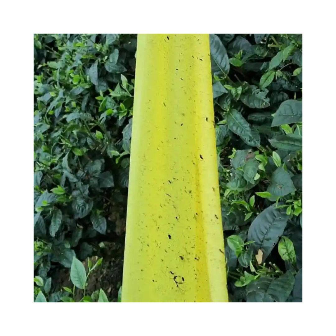 Gumtree Yellow and Blue Sticky Roll (15cm X 100m) | Buy Online Now