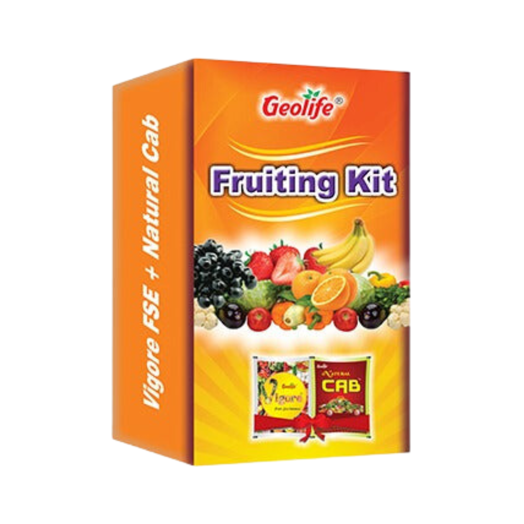 Geolife Fruiting Kit | Buy Online at Best Price - DesiKheti