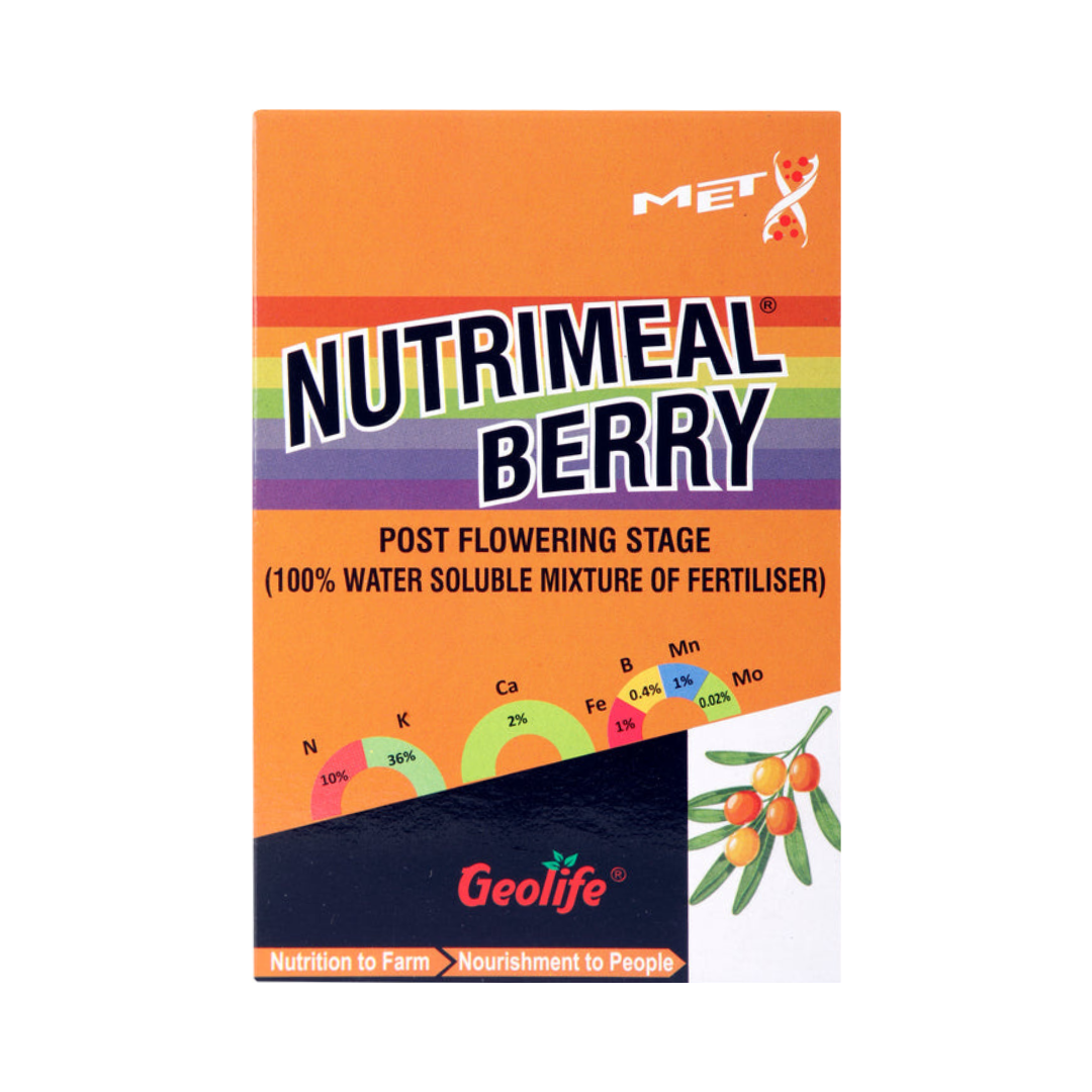 Geolife Nutrimeal Berry | Buy Online at Best Price - DesiKheti