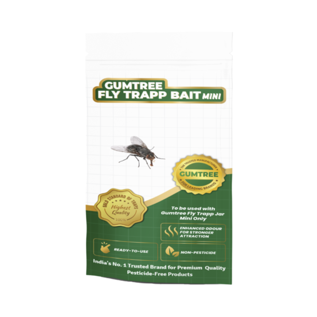 Gumtree Fly Trapp Bait Mini (Pack of 2) | Buy Online at Best Price Now