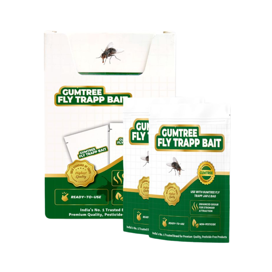 Gumtree Fly Trapp Bait (Pack of 2) | Buy Online at Best Price Now