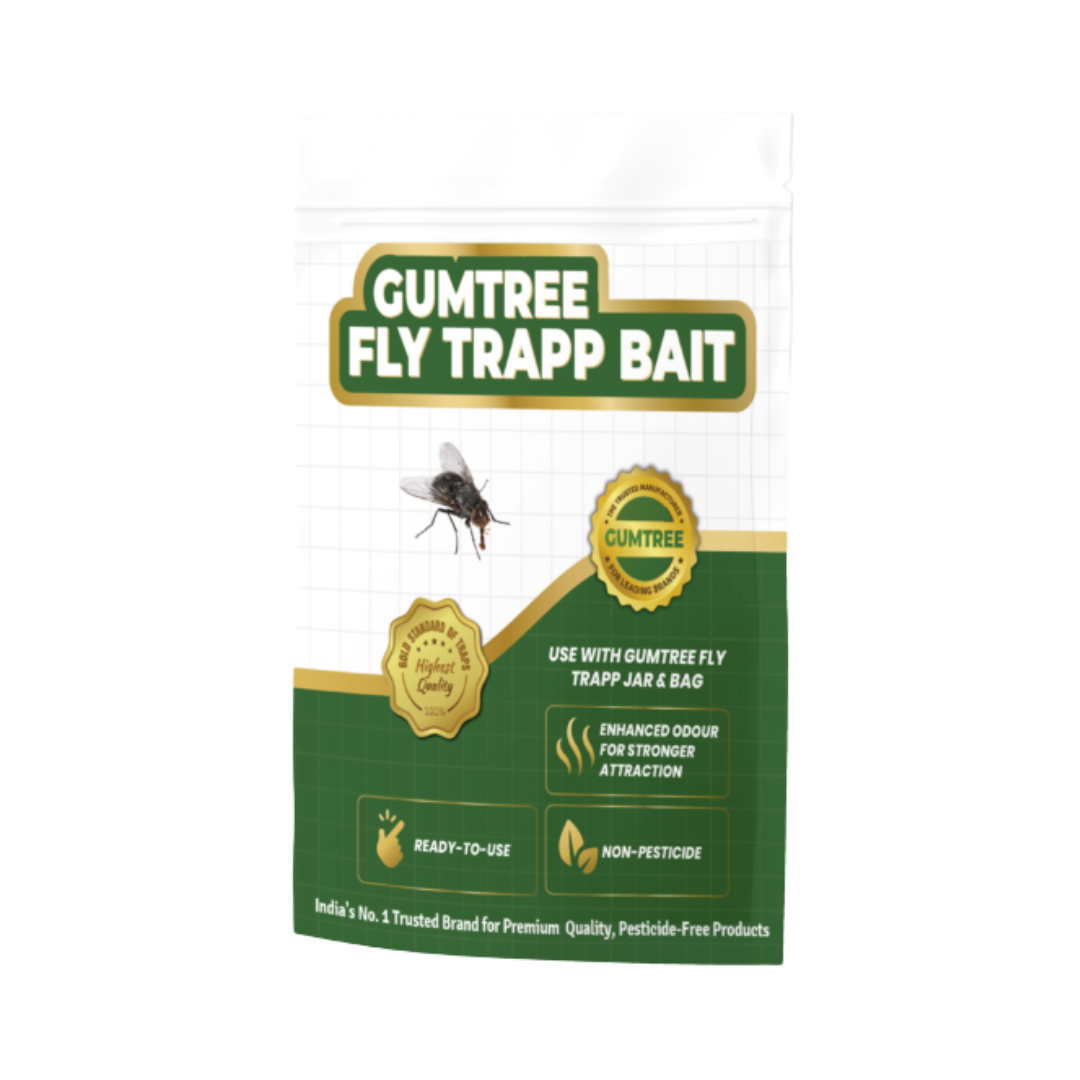 Gumtree Fly Trapp Bait (Pack of 2) | Buy Online at Best Price Now