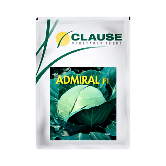 Admiral Cabbage Seeds - HM Clause| F1 Hybrid | Buy Online - DesiKheti