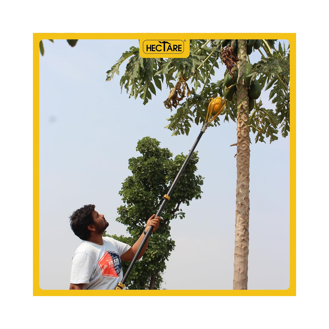 Hectare Papaya Harvester | Buy Online at Best Price - DesiKheti