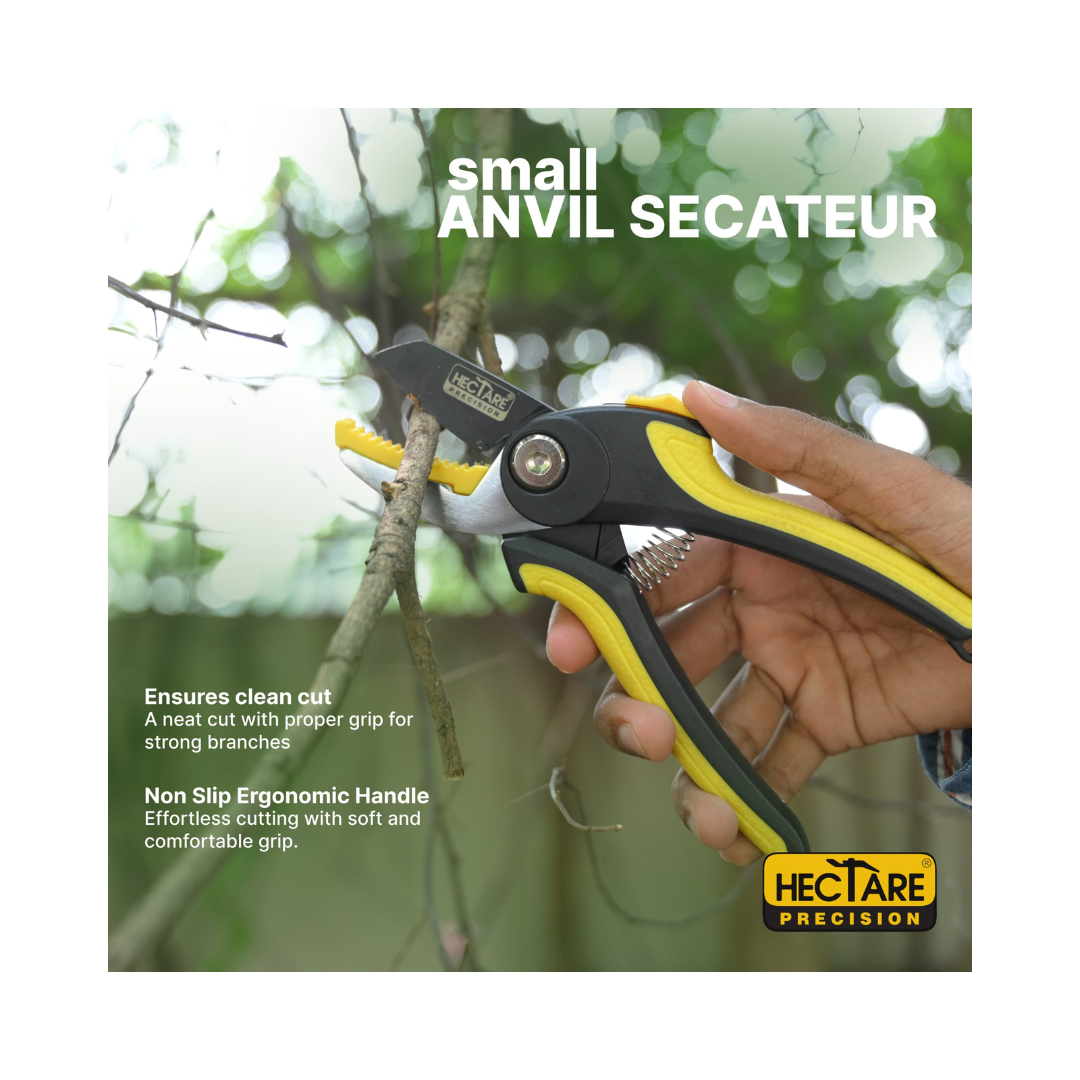 Hectare Precision Anvil Pruning Secateur - Small | Buy Online Now