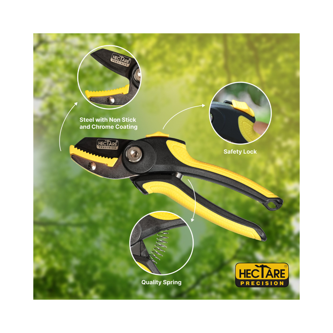 Hectare Precision Anvil Pruning Secateur - Small | Buy Online Now