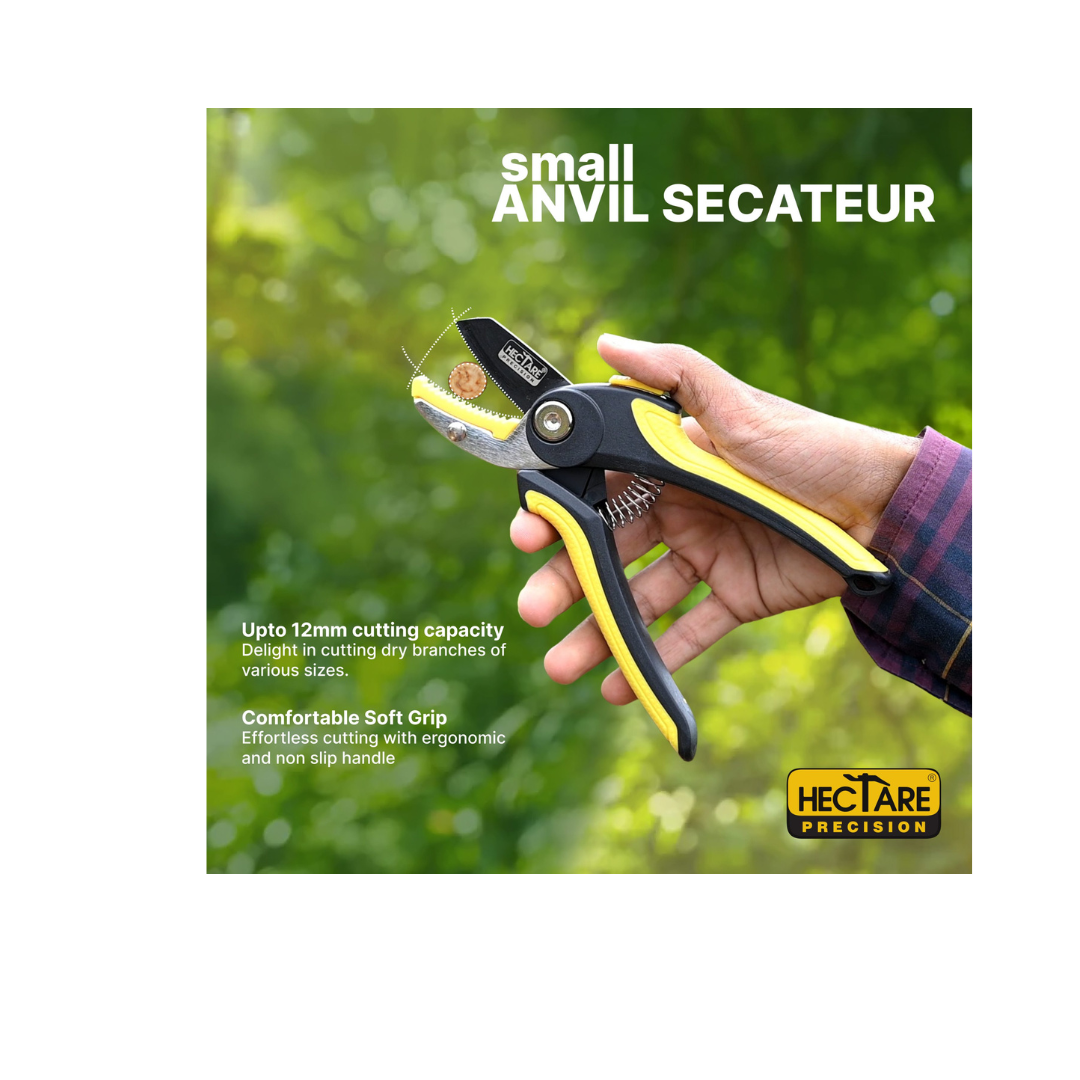 Hectare Precision Anvil Pruning Secateur - Small | Buy Online Now